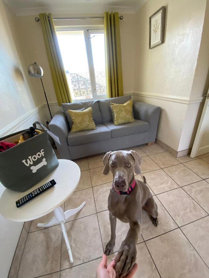 Croyde Bay Hotel Or Self Catering Ngoại thất bức ảnh
